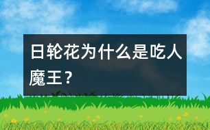 日輪花為什么是“吃人魔王”？