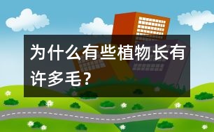 為什么有些植物長(zhǎng)有許多毛？