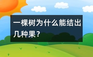 一棵樹為什么能結(jié)出幾種果？