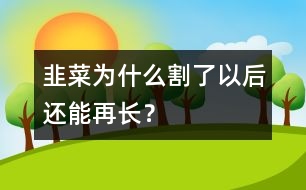 韭菜為什么割了以后還能再長？