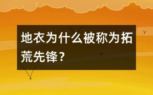 地衣為什么被稱為拓荒先鋒？