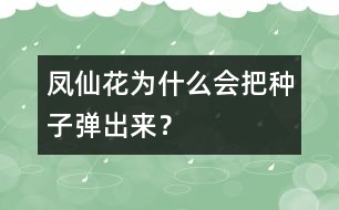 鳳仙花為什么會(huì)把種子彈出來(lái)？