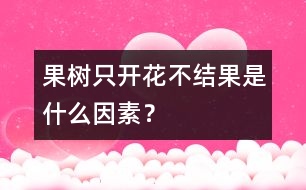 果樹只開花不結(jié)果是什么因素？