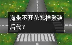 海帶不開花怎樣繁殖后代？