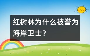 紅樹林為什么被譽(yù)為“海岸衛(wèi)士”？