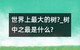 世界上最大的樹?_樹中之最是什么?