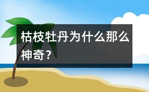 枯枝牡丹為什么那么神奇？