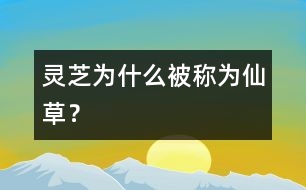 靈芝為什么被稱為“仙草”？