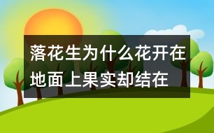 落花生為什么花開在地面上,果實(shí)卻結(jié)在地下？