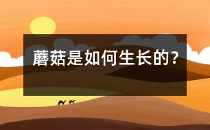 蘑菇是如何生長(zhǎng)的？