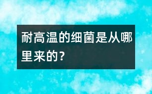 耐高溫的細菌是從哪里來的？