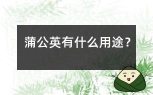 蒲公英有什么用途？