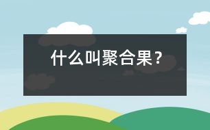 什么叫聚合果？