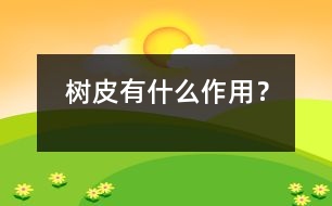 樹皮有什么作用？