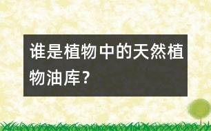 誰是植物中的“天然植物油庫”？