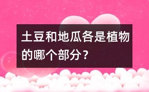 土豆和地瓜各是植物的哪個(gè)部分？