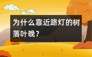 為什么靠近路燈的樹落葉晚？