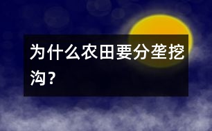 為什么農(nóng)田要分壟挖溝？