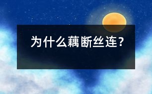 為什么藕斷絲連？