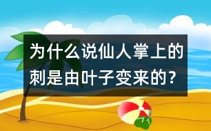 為什么說仙人掌上的刺是由葉子變來的？