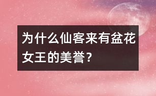 為什么仙客來(lái)有“盆花女王”的美譽(yù)？