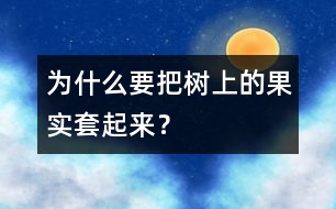 為什么要把樹上的果實(shí)套起來？