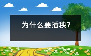 為什么要插秧？