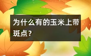 為什么有的玉米上帶斑點(diǎn)？