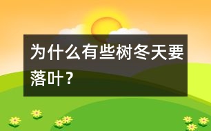 為什么有些樹冬天要落葉？