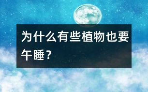 為什么有些植物也要“午睡”？