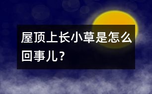 屋頂上長小草是怎么回事兒？