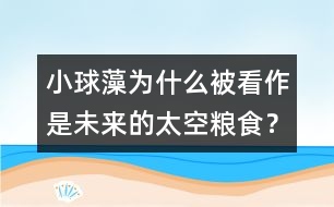 小球藻為什么被看作是未來(lái)的太空糧食？