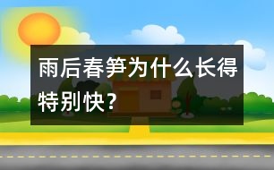 雨后春筍為什么長得特別快？