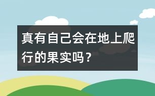 真有自己會(huì)在地上爬行的果實(shí)嗎？