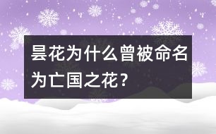 曇花為什么曾被命名為“亡國(guó)之花”？