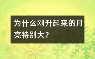 為什么剛升起來的月亮特別大？