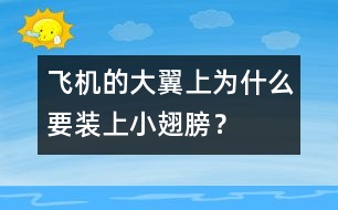 飛機(jī)的大翼上為什么要裝上小翅膀？