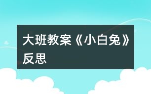 大班教案《小白兔》反思