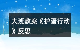 大班教案《護(hù)蛋行動》反思