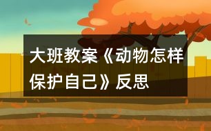 大班教案《動物怎樣保護自己》反思