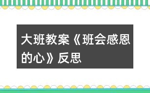 大班教案《班會感恩的心》反思