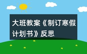 大班教案《制訂寒假計(jì)劃書(shū)》反思