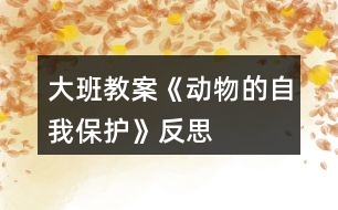 大班教案《動物的自我保護》反思