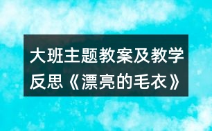 大班主題教案及教學反思《漂亮的毛衣》