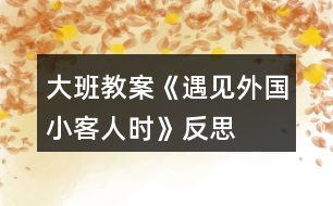 大班教案《遇見外國小客人時》反思