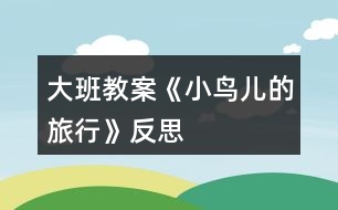 大班教案《小鳥兒的旅行》反思