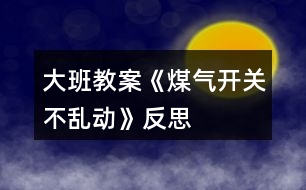 大班教案《煤氣開關不亂動》反思