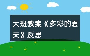 大班教案《多彩的夏天》反思