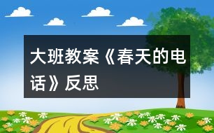 大班教案《春天的電話(huà)》反思