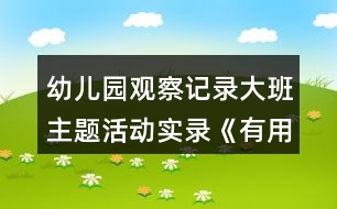 幼兒園觀察記錄大班主題活動(dòng)實(shí)錄《有用的植物》